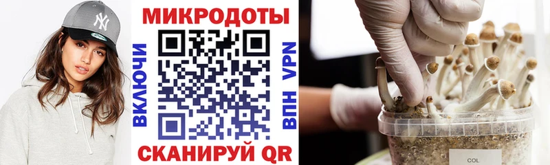 Псилоцибиновые грибы мицелий кракен рабочий сайт Городище